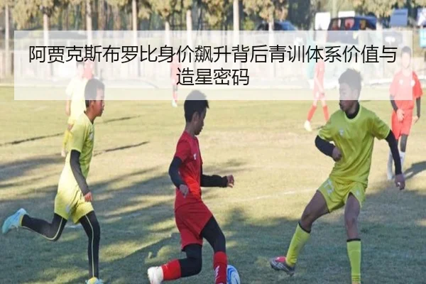 阿贾克斯布罗比身价飙升背后青训体系价值与造星密码